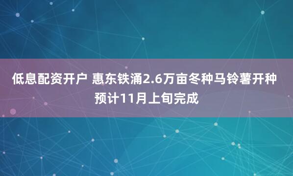 低息配资开户 惠东铁涌2.6万亩冬种马铃薯开种 预计11月上旬完成