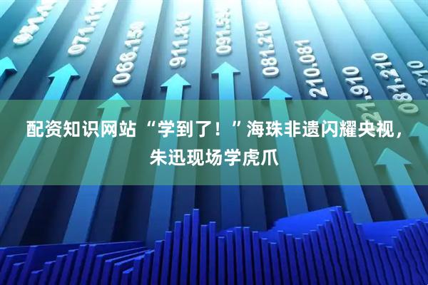 配资知识网站 “学到了！”海珠非遗闪耀央视，朱迅现场学虎爪