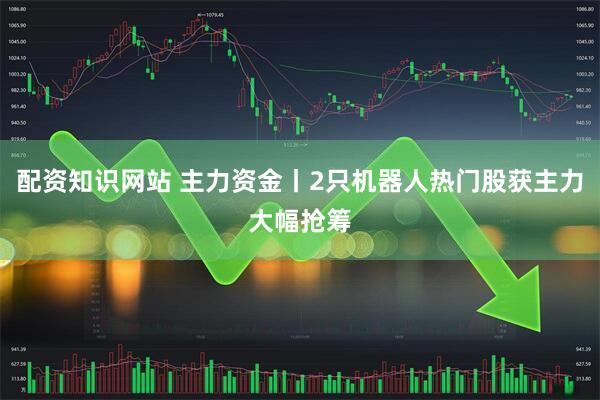 配资知识网站 主力资金丨2只机器人热门股获主力大幅抢筹